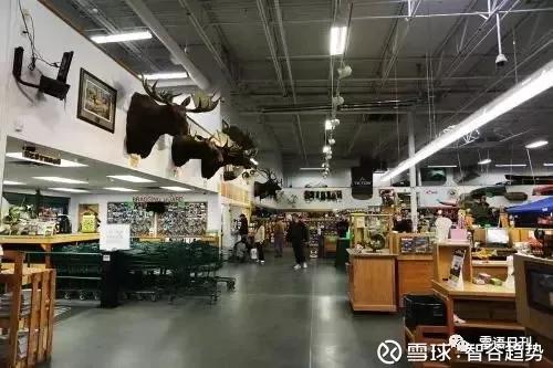 图不见了