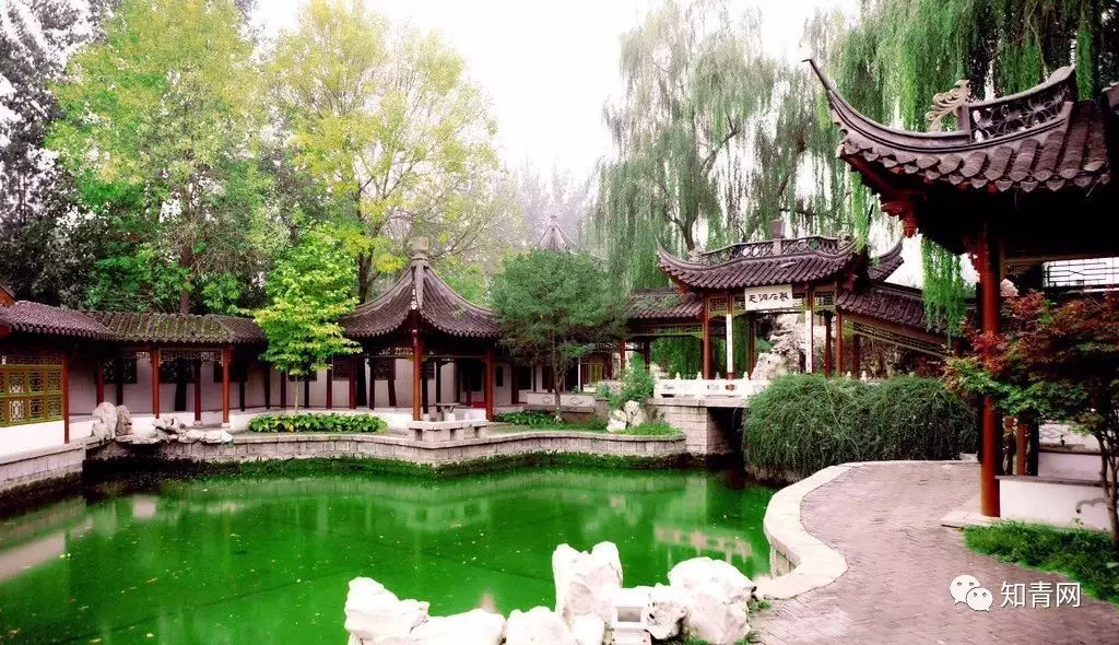 图片飞跑了