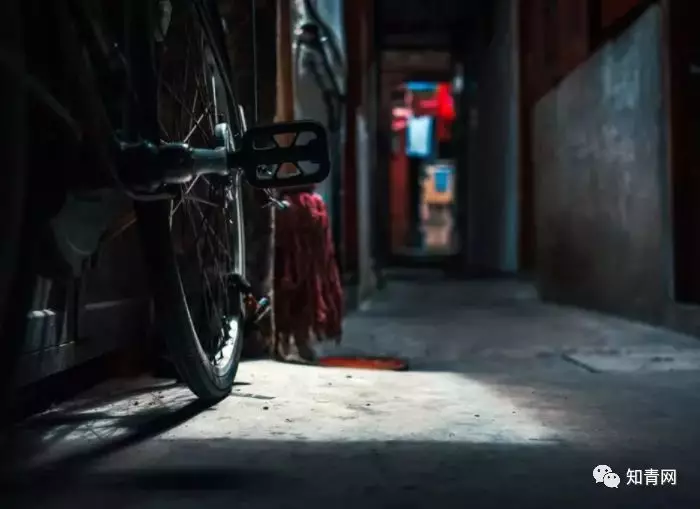 图片飞跑了