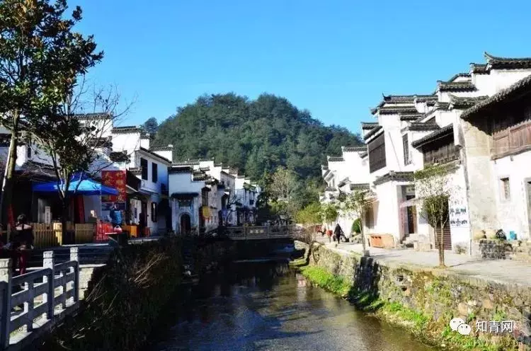 图片飞跑了