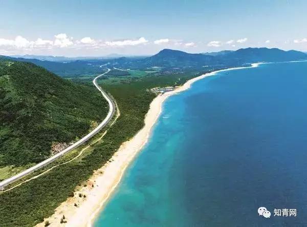 图片飞跑了