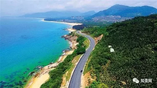 图片飞跑了