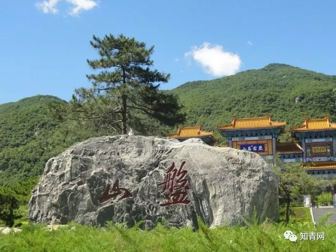 图片飞跑了