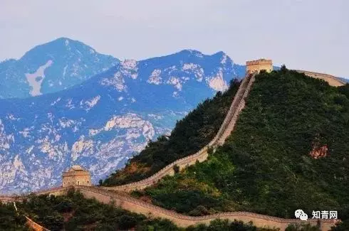 图片飞跑了