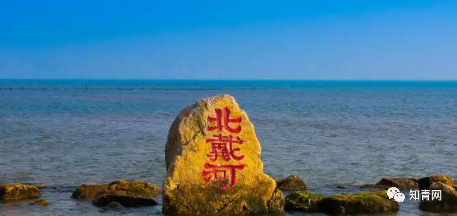 图片飞跑了