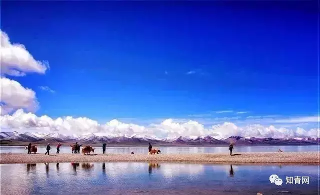 图片飞跑了