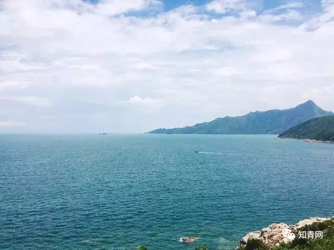 图片飞跑了