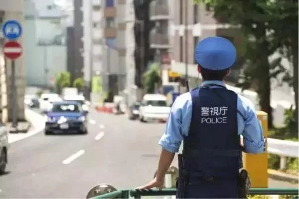 图片跑了哦