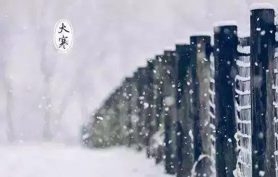 图片飞跑了
