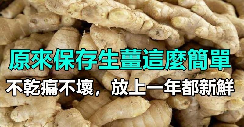 图片飞跑了