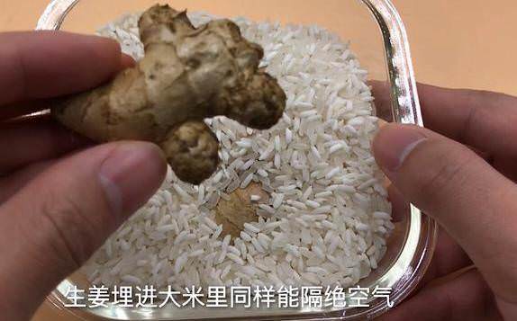 图片飞跑了