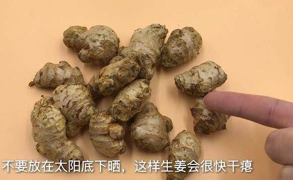 图片飞跑了