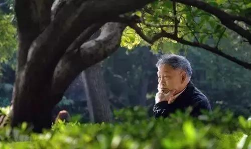 图片跑了哦
