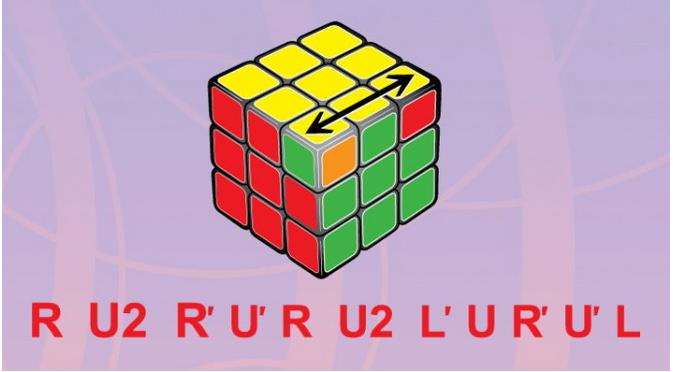 图片飞跑了