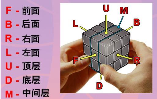 图片飞跑了